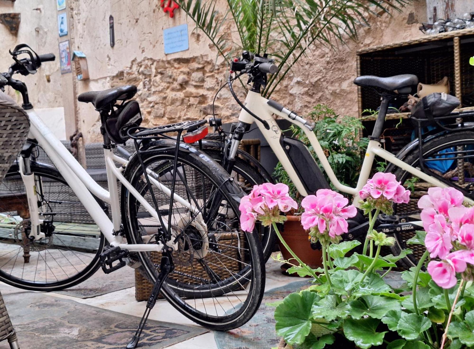 Maison Du Coquelicot Tourouzelle エクステリア 写真